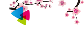 花然书
